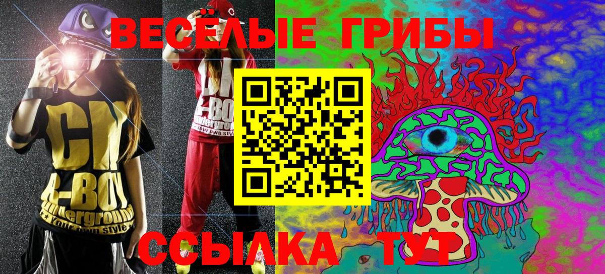 Владимир  Галлюциногенные грибы Cubensis  цена   Вход с VPN 